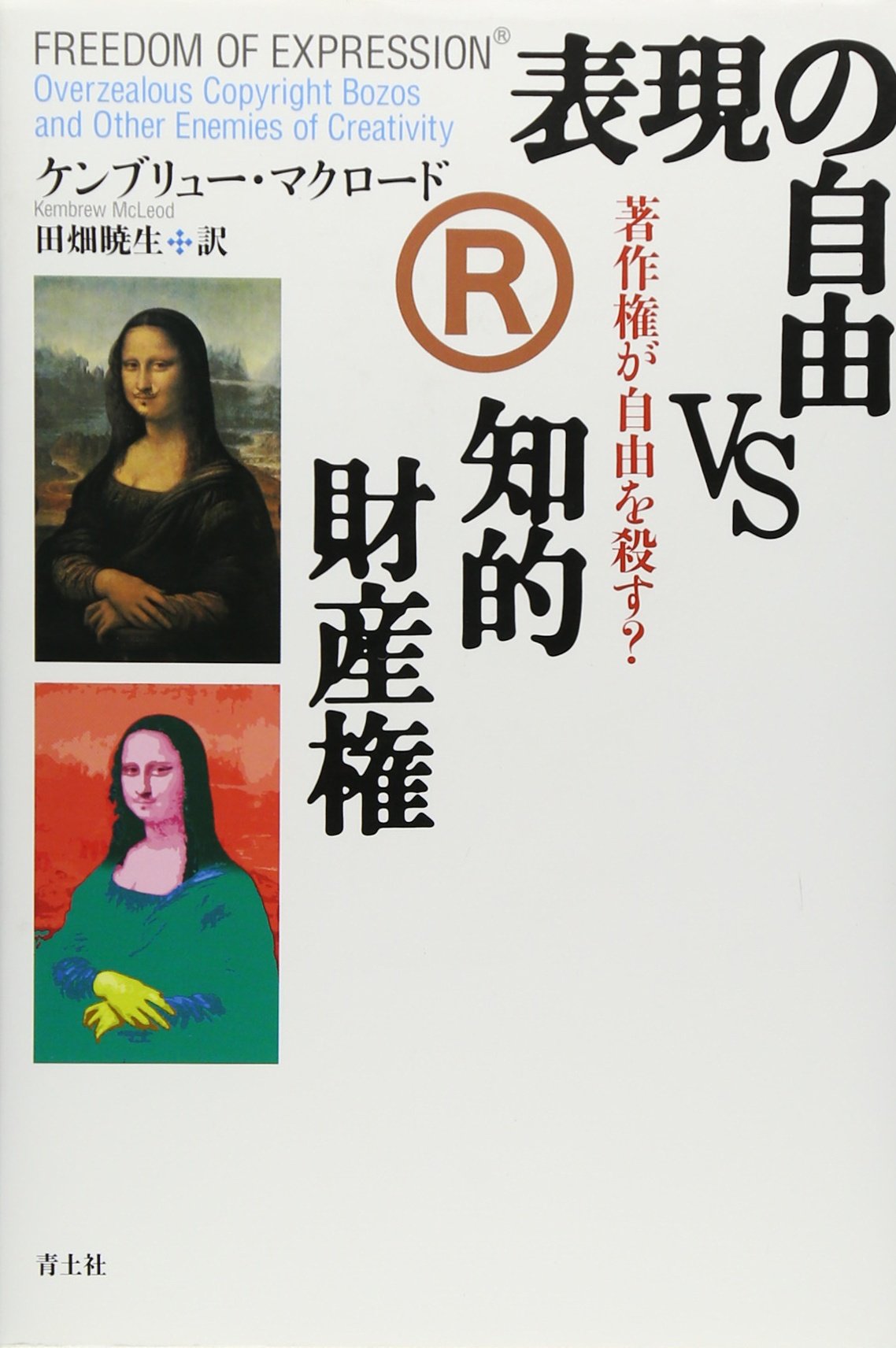 表現の自由vs知的財産権: 著作権が自由を殺す? | ケンブリュー